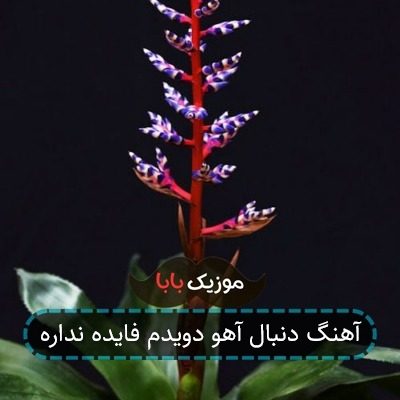 آهنگ دنبال آهو دویدم فایده نداره آهنگ دنبال آهو دویدم فایده نداره