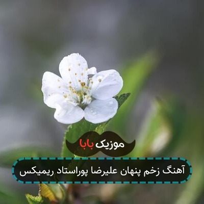 آهنگ از فراق تو ببین چه خسته ام