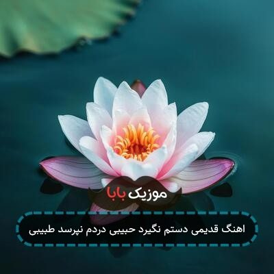 اهنگ قدیمی دستم نگیرد حبیبی دردم نپرسد طبیبی