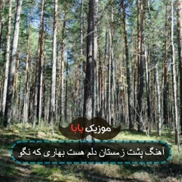 آهنگ پشت زمستان دلم هست بهاری که نگو آهنگ پشت زمستان دلم هست بهاری که نگو