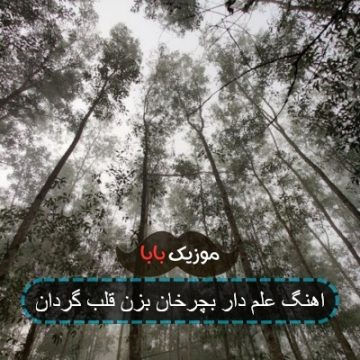 اهنگ علم دار بچرخان بزن قلب گردان