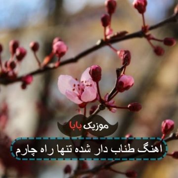 اهنگ طناب دار شده تنها راه چارم اهنگ طناب دار شده تنها راه چارم