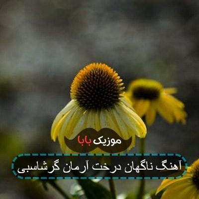 آهنگ ناگهان درخت آرمان گرشاسبی آهنگ ناگهان درخت آرمان گرشاسبی