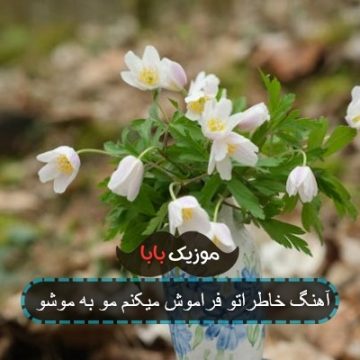 آهنگ خاطراتو فراموش میکنم مو به موشو