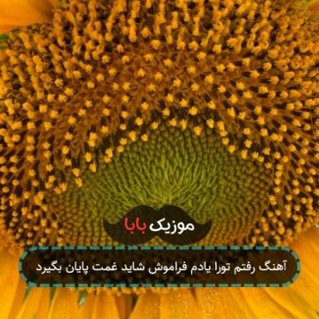 آهنگ رفتم تورا یادم فراموش شاید غمت پایان بگیرد