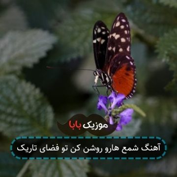 آهنگ شمع هارو روشن کن تو فضای تاریک آهنگ شمع هارو روشن کن تو فضای تاریک