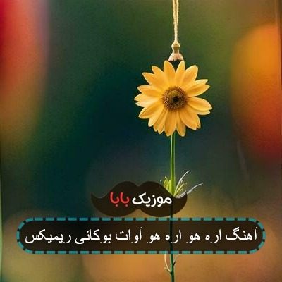 آهنگ اره هو اره هو آوات بوکانی ریمیکس