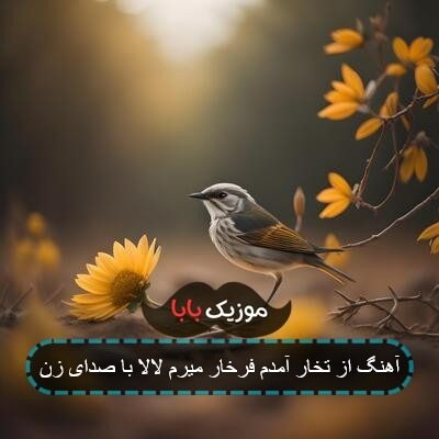 آهنگ از تخار آمدم فرخار میرم لالا با صدای زن