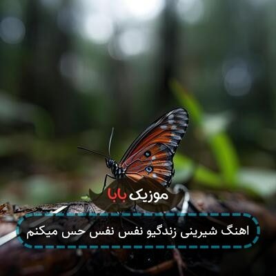 اهنگ شیرینی زندگیو نفس نفس حس میکنم