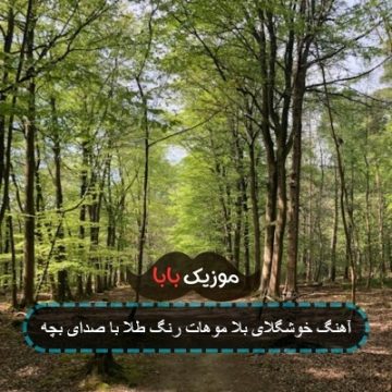 آهنگ خوشگلای بلا موهات رنگ طلا با صدای بچه آهنگ خوشگلای بلا موهات رنگ طلا با صدای بچه