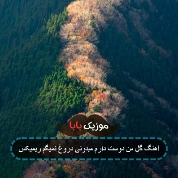 آهنگ گل من دوست دارم میدونی دروغ نمیگم ریمیکس آهنگ گل من دوست دارم میدونی دروغ نمیگم ریمیکس