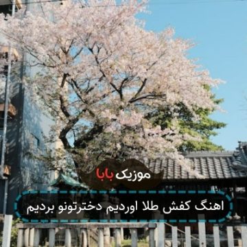 اهنگ کفش طلا اوردیم دخترتونو بردیم