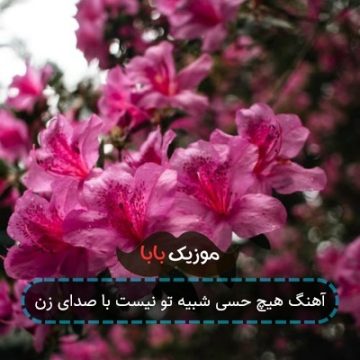 آهنگ هیچ حسی شبیه تو نیست با صدای زن
