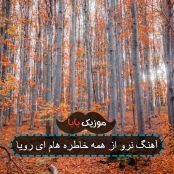 آهنگ نرو از همه خاطره هام ای رویا