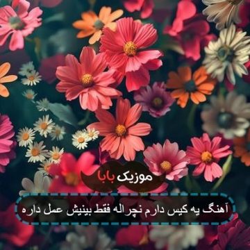 آهنگ یه کیس دارم نچراله فقط بینیش عمل داره آهنگ یه کیس دارم نچراله فقط بینیش عمل داره