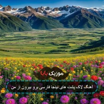 آهنگ لاک پشت های نینجا فارسی برو بیرون از من