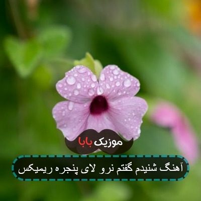 اهنگ چنی سرم به دیوار بزنم ریمیکس اهنگ چنی سرم به دیوار بزنم ریمیکس