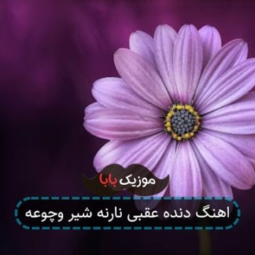 اهنگ دنده عقبی نارنه شیر وچوعه اهنگ دنده عقبی نارنه شیر وچوعه