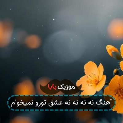 آهنگ نه نه نه نه عشق تورو نمیخوام