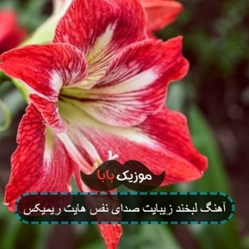 آهنگ لبخند زیبایت صدای نفس هایت ریمیکس آهنگ لبخند زیبایت صدای نفس هایت ریمیکس