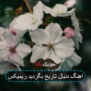 اهنگ دنبال تاریخ بگردید ریمیکس اهنگ دنبال تاریخ بگردید ریمیکس