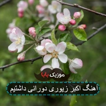 آهنگ اکبر زیوری دورانی داشتیم آهنگ اکبر زیوری دورانی داشتیم