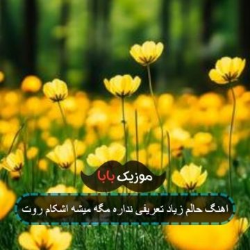 اهنگ حالم زیاد تعریفی نداره مگه میشه اشکام روت
