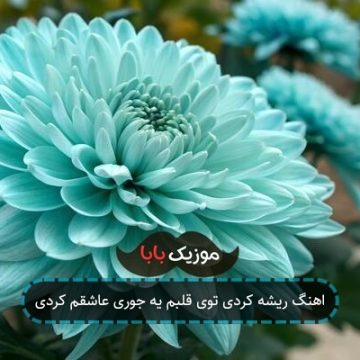 اهنگ ریشه کردی توی قلبم یه جوری عاشقم کردی