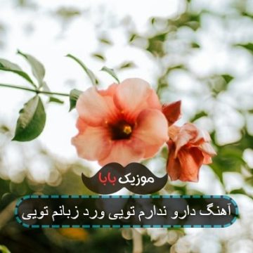آهنگ دارو ندارم تویی ورد زبانم تویی