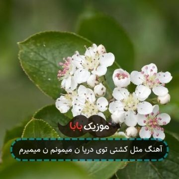 آهنگ مثل کشتی توی دریا ن میمونم ن میمیرم
