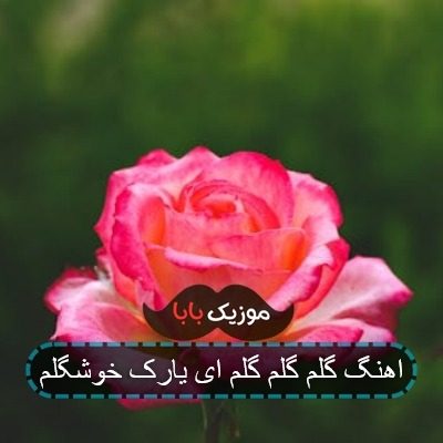 آهنگ گلم گلم گل بی خارم عصر جدید