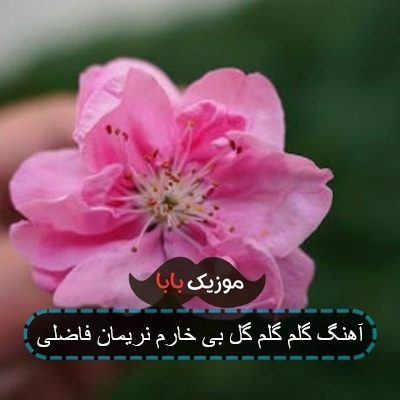 آهنگ گلم گلم گل بی خارم نریمان فاضلی