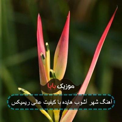 آهنگ عشق ک در میزنه اونو جوابش نکن ریمیکس آهنگ عشق ک در میزنه اونو جوابش نکن ریمیکس