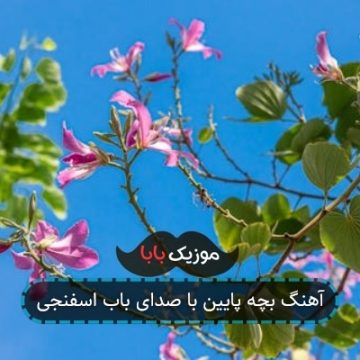 آهنگ بچه پایین با صدای باب اسفنجی