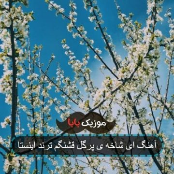 آهنگ ای شاخه ی پرگل قشنگم ترند اینستا