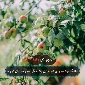 آهنگ چه سوزی داره این باد جگر سوزه زبان دوزه