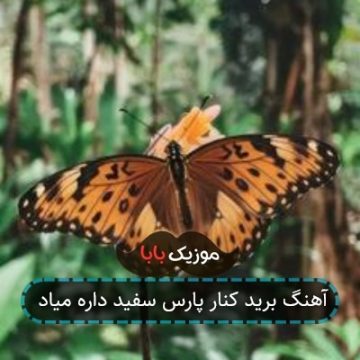 آهنگ برید کنار پارس سفید داره میاد
