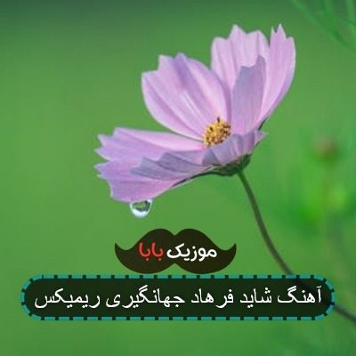 آهنگ شاید فرهاد جهانگیری ریمیکس