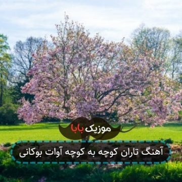 آهنگ تاران کوچه به کوچه آوات بوکانی آهنگ تاران کوچه به کوچه آوات بوکانی