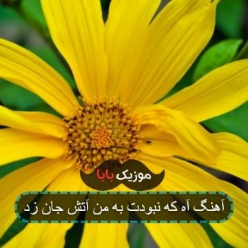 آهنگ آه که نبودت به من آتش جان زد آهنگ آه که نبودت به من آتش جان زد