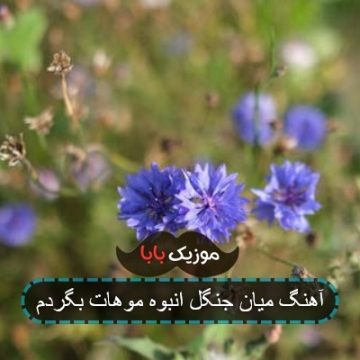 آهنگ میان جنگل انبوه موهات بگردم