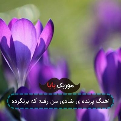 آهنگ پرنده ی شادی من رفته که برنگرده آهنگ پرنده ی شادی من رفته که برنگرده
