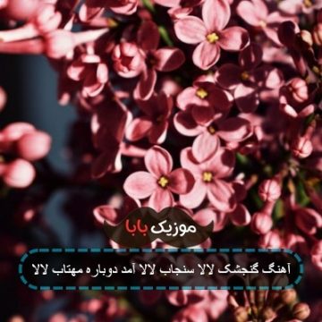 آهنگ گنجشک لالا سنجاب لالا آمد دوباره مهتاب لالا