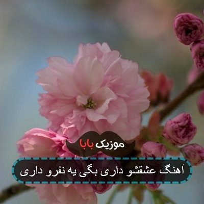 آهنگ عشقشو داری بگی یه نفرو داری