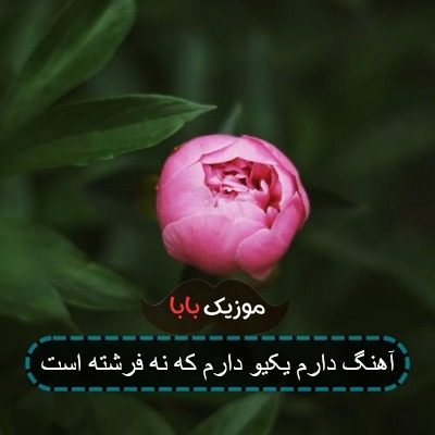 اهنگ هوامو داره همه جا کنارمه کنسرت اهنگ هوامو داره همه جا کنارمه کنسرت