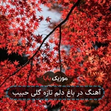 آهنگ در باغ دلم تازه گلی حبیب آهنگ در باغ دلم تازه گلی حبیب