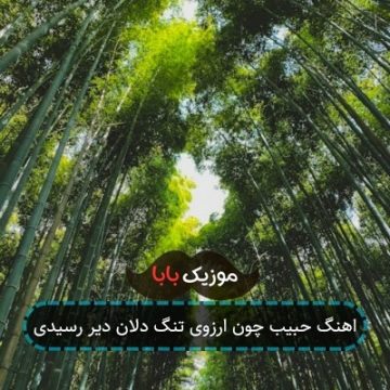 اهنگ حبیب چون ارزوی تنگ دلان دیر رسیدی اهنگ حبیب چون ارزوی تنگ دلان دیر رسیدی