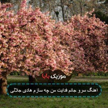 اهنگ سرو جانم فدایت من چه سازم هادی جلالی اهنگ سرو جانم فدایت من چه سازم هادی جلالی