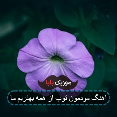 آهنگ حالمون خوب مودمون توپ