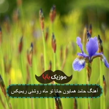 آهنگ حامد همایون جانا تو ماه روشنی ریمیکس